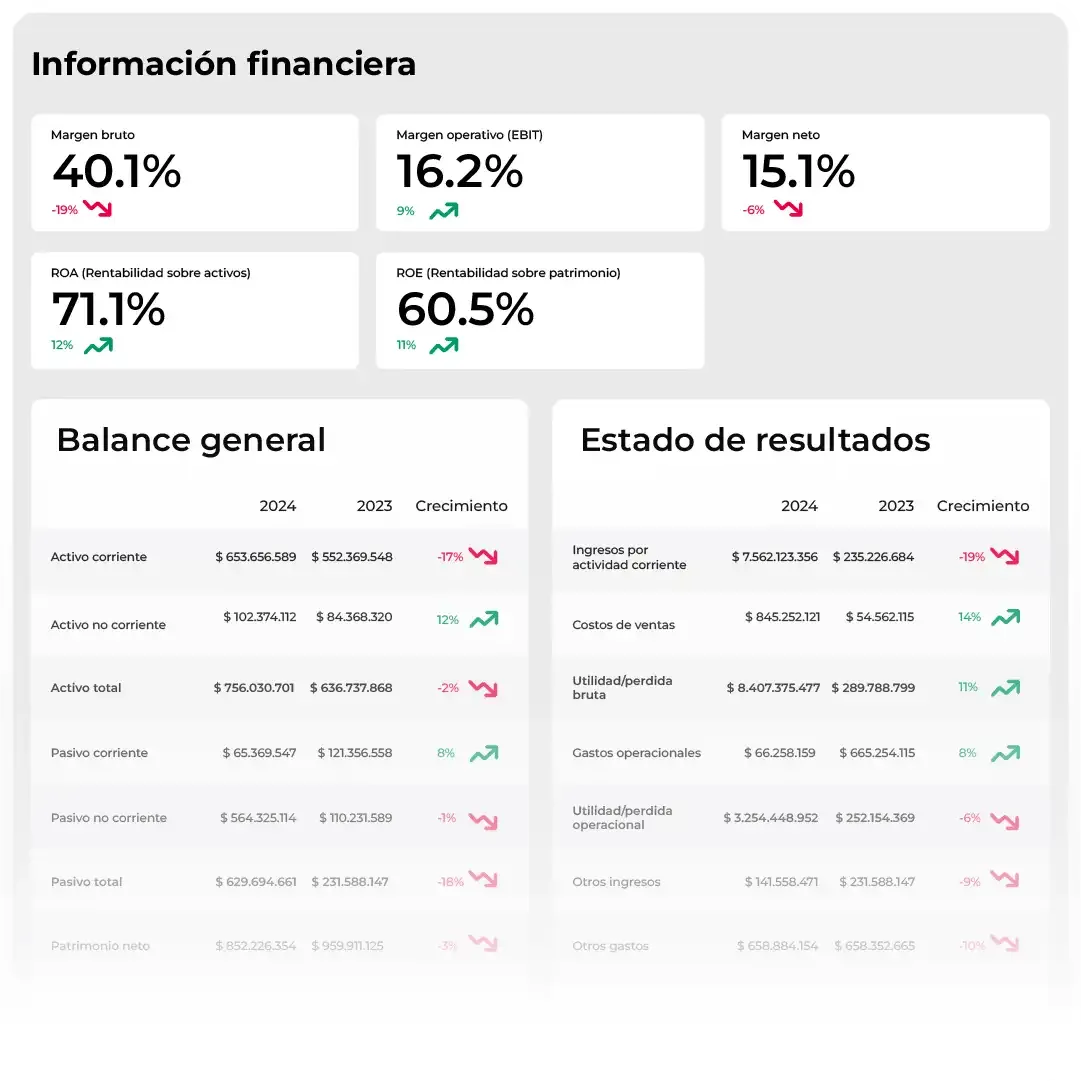 informe de ejemplo de instituciones financieras